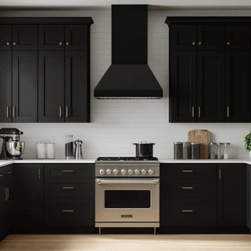 sovereign onyx black shaker