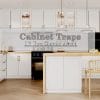 Cabinet Traps