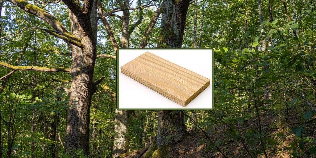 Cabinet - Hardwood Oak Visual representation of a majestic oak tree with a layer showing oak hardwood planks, illustrating the source of premium oak cabinet materials.