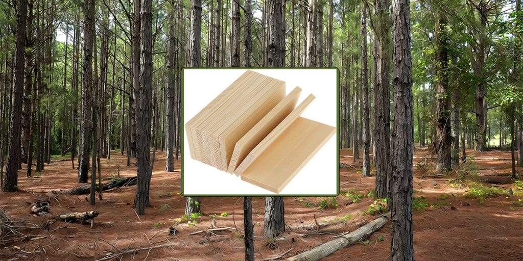 Cabinet - Softwood Pine Pine Tree to Softwood Planks – Quality Pine Wood