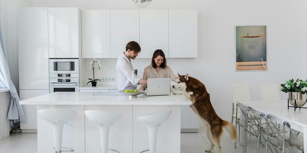 Couple in Modern White Slab Kitchen with Alaskan Malamute at Island